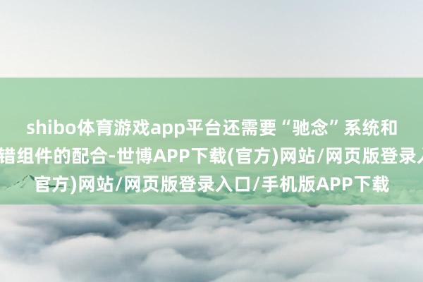 shibo体育游戏app平台还需要“驰念”系统和灵验的调用器用等舛错组件的配合-世博APP下载(官方)网站/网页版登录入口/手机版APP下载