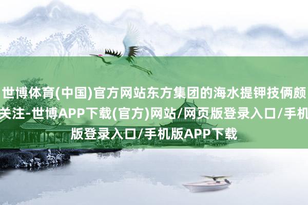 世博体育(中国)官方网站东方集团的海水提钾技俩颇受本钱阛阓关注-世博APP下载(官方)网站/网页版登录入口/手机版APP下载