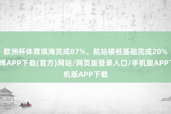 欧洲杯体育填海完成87%、航站楼桩基础完成20%-世博APP下载(官方)网站/网页版登录入口/手机版APP下载