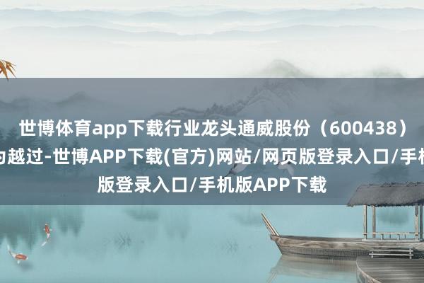 世博体育app下载行业龙头通威股份（600438）本日发达尤为越过-世博APP下载(官方)网站/网页版登录入口/手机版APP下载